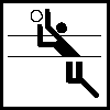 Icon Volleyball